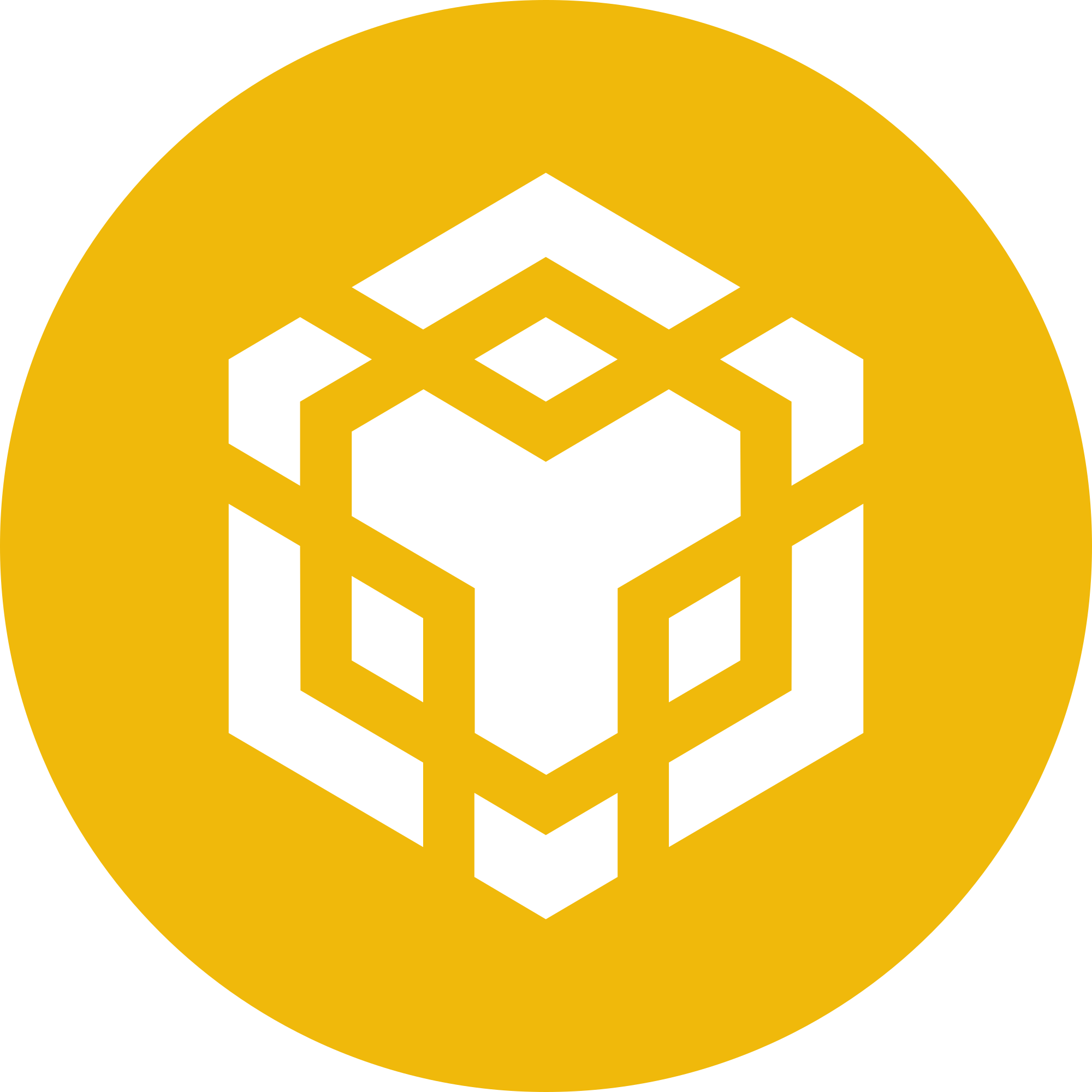 BNB Chain Logo